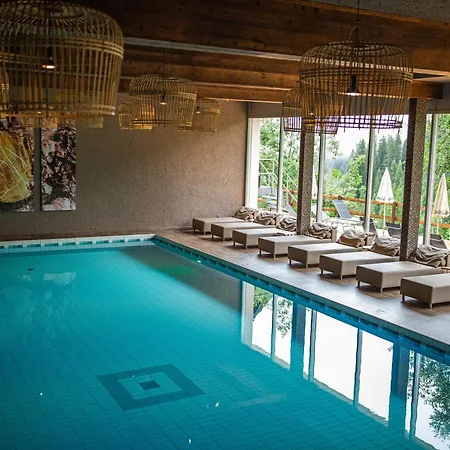 Hotel Alpine Club - Adults Only Arosa