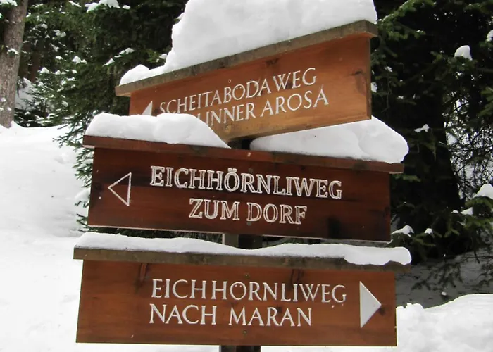 Alpine Club - Adults Only