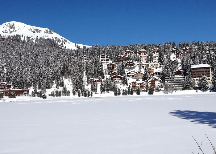 Alpine Club - Adults Only Hotel Arosa