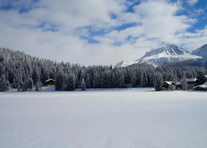 Alpine Club - Adults Only Hotel Arosa