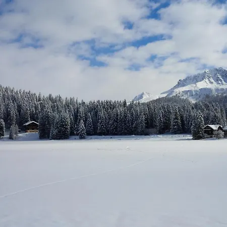 Alpine Club - Adults Only 호텔 아로사